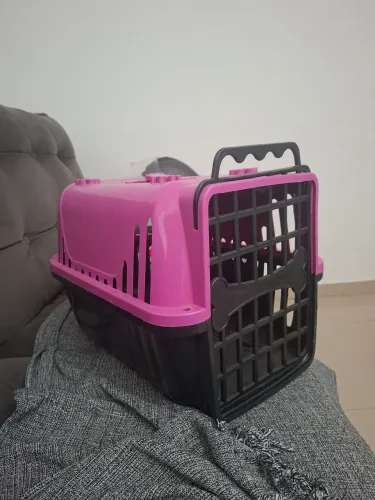 Casinha de Cachorro