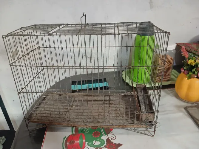 Vendo gaiola super conservada