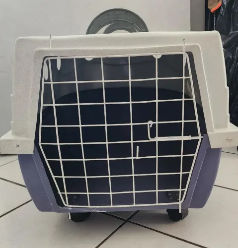 Caixa para transporte pet