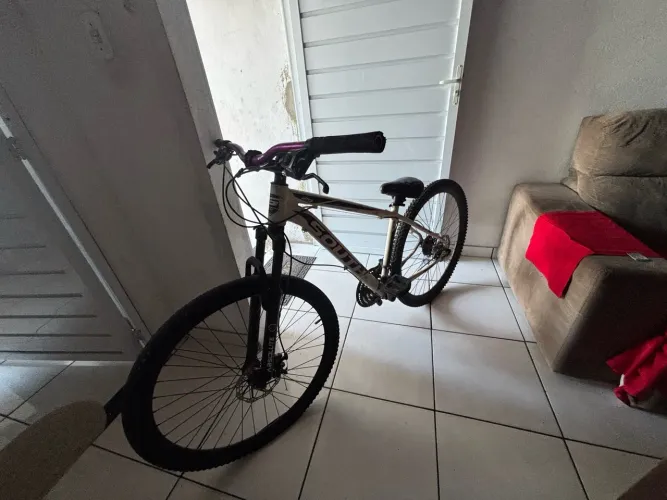 BIKE ARO 29