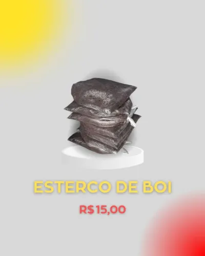 Esterco de boi