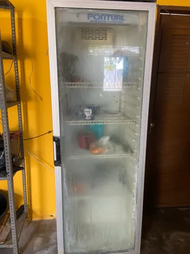 Freezer Expositor