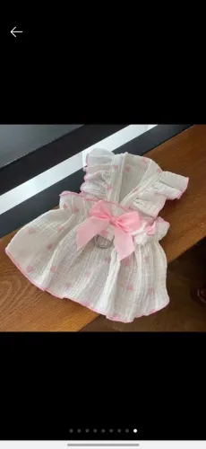Roupa pet