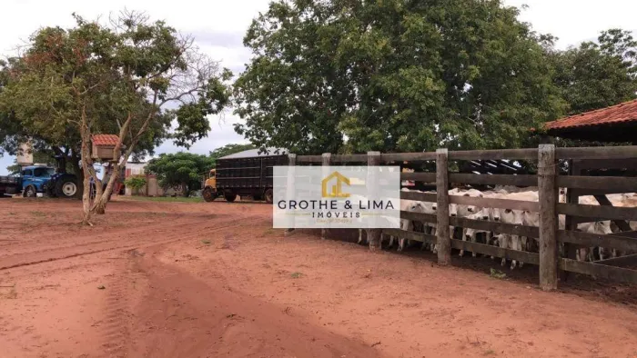 Fazenda Completa para Cria, Recria e Engorda | 365 Alq Água Clara/MS