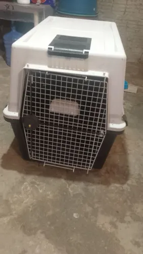 Caixa de transporte pra pet grande