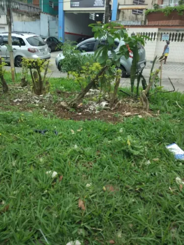 Faxineira,passadeira ou babá