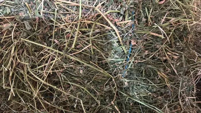 Alfafa em fardo de 12kg