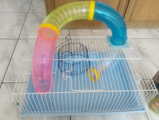 Gaiola de hamster +ração