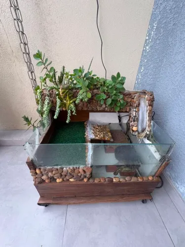 Aquaterrário