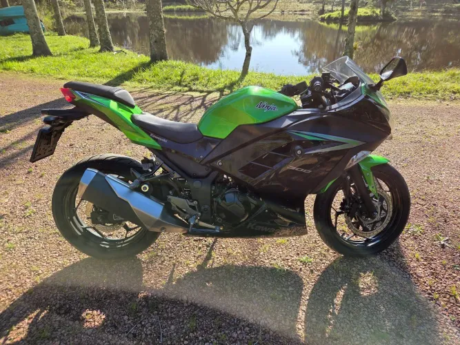 Kawasaki Ninja 300 2023