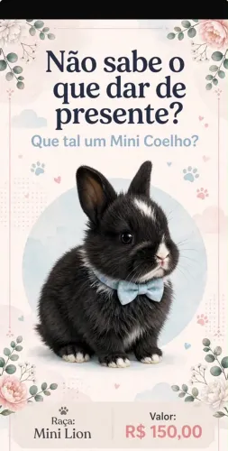 Mini Lion Coelho