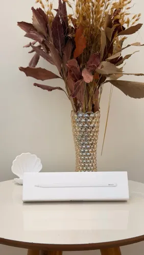 Apple Pencil 2º geração NOVA