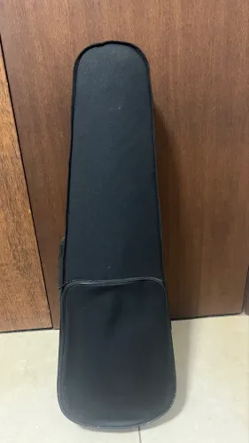 Violino