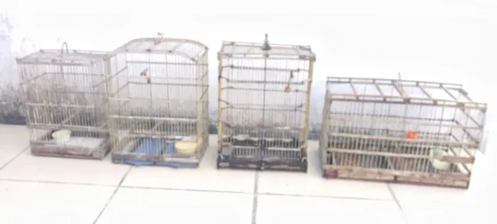 4 gaiolas em bom estado