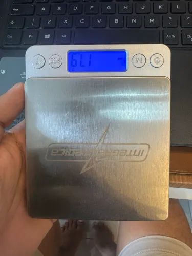 Balança Digital de Precisão em Aço Inox