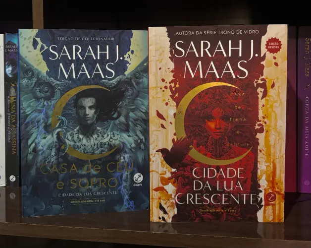 Crescent City e o Despertar da lua caída - Livros
