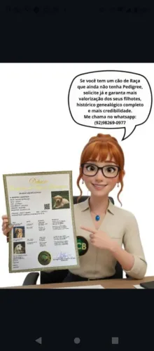Pedigree para cães de raça 