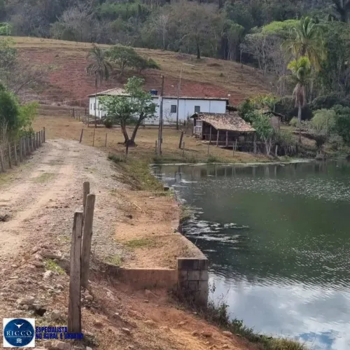Fazenda à Venda em Pirenópolis - GO | 72 Alqueires | Pecuária | Jazida