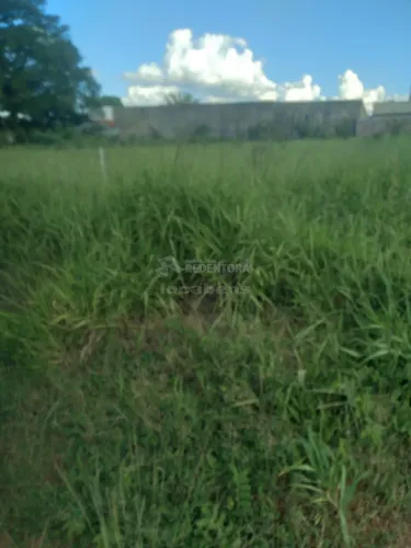 Terreno Área em Fronteira