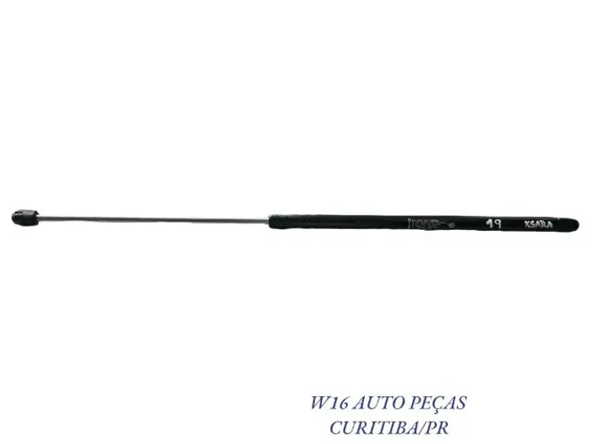 Amortecedor Tampa Traseira Xsara Picasso *0 N19