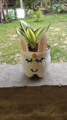 Plantinha decorada 
