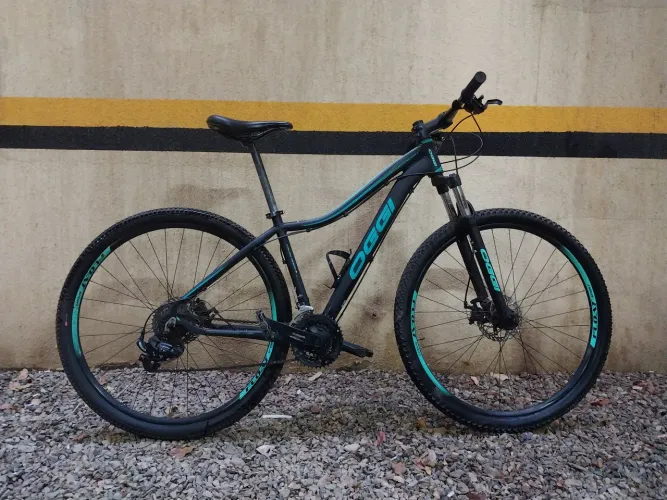 BICICLETA ARO 29(OGGI FLOAT)