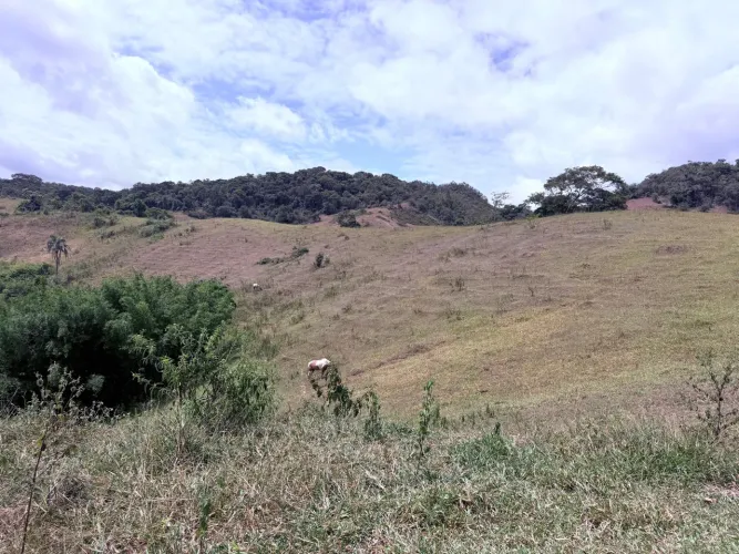 Terreno com vista espetacular em Argirita- MG