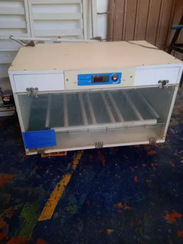 Vende-se uma chocadeira