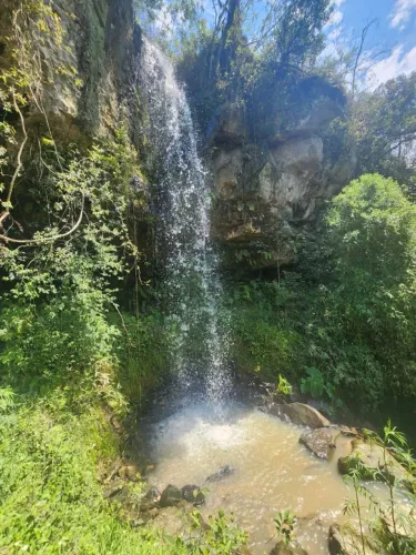 Sítio com cachoeira 3 hectares