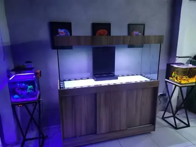 Móveis projetados para aquário bancadas