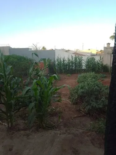 Terreno à venda no Jardim São Miguel em Limeira