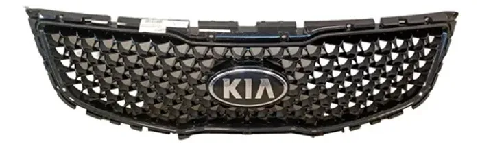 Grade Radiador C/Emblema Kia Sportage 2014/2016 Kia2677
