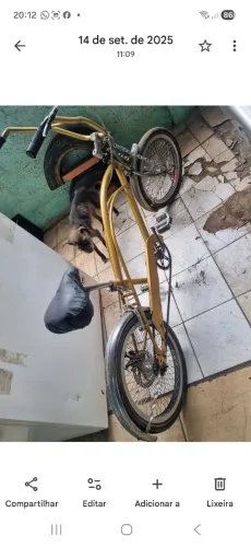 Bicicleta