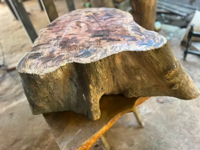 Tronco Orgânico Envernizado | Peça Decorativa Multifuncional