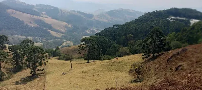 Área à venda, 44000 m² por R$ 789.000,00 - Costas - Gonçalves/MG