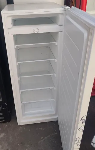 Freezer vertical