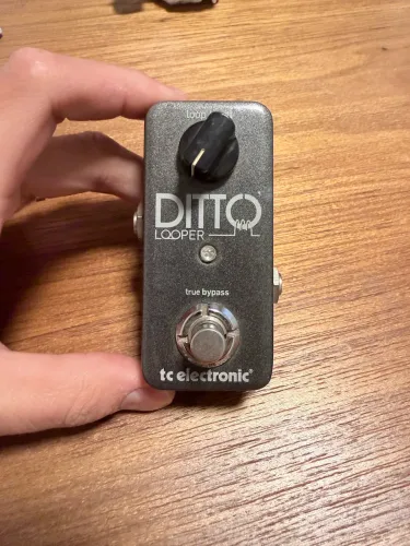 Pedal Ditto Looper