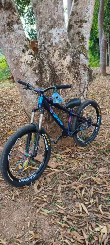 Gios 7 Belo 2025