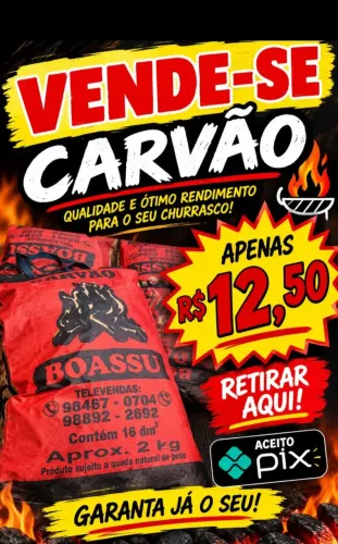 VENDO SAGO DE CARVÃO DE 2.KG