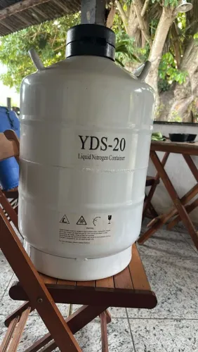 Botijao de Nitrogênio, Botinao de Semen