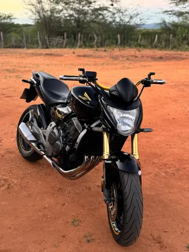 Hornet 600f