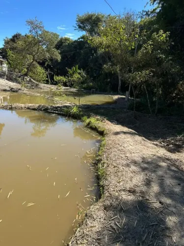 Lotes e Chácaras em Piedade dos Gerais - MG