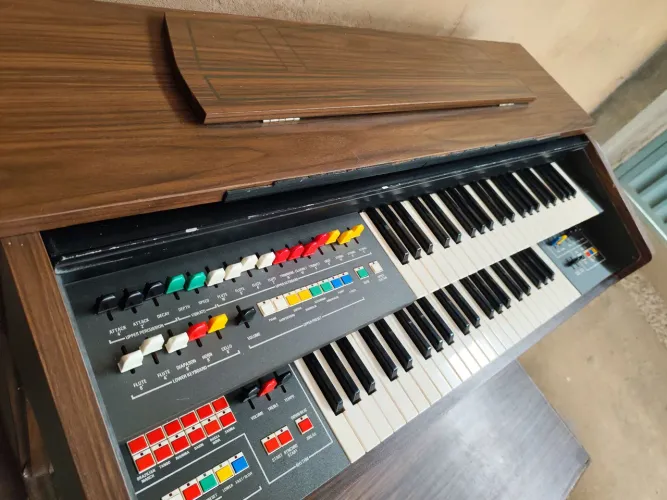 Órgão Instrumento musical