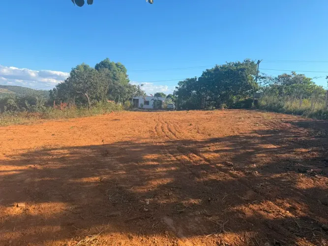 LOTE CANTO DA SIRIEMA