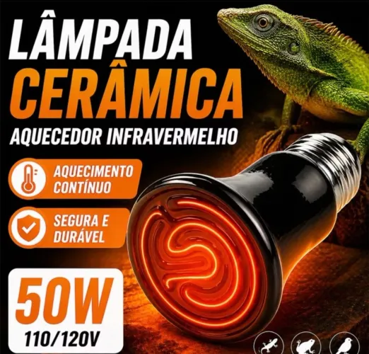 Lâmpada de aquecimento para aves e repteis