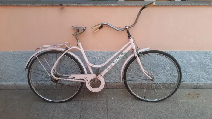 Bicicleta BRISA