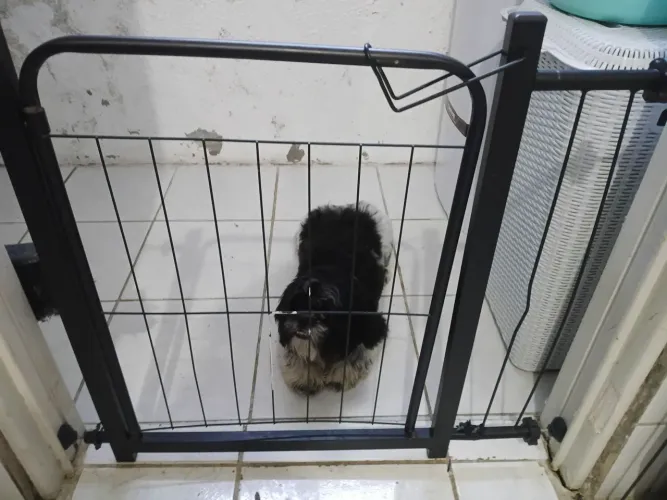 Portão de pet