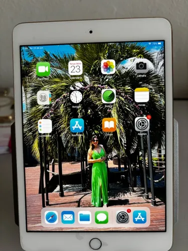 iPad Mini 