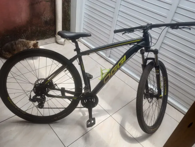 Bike Oggi 29 quadro 19 usada 4× 