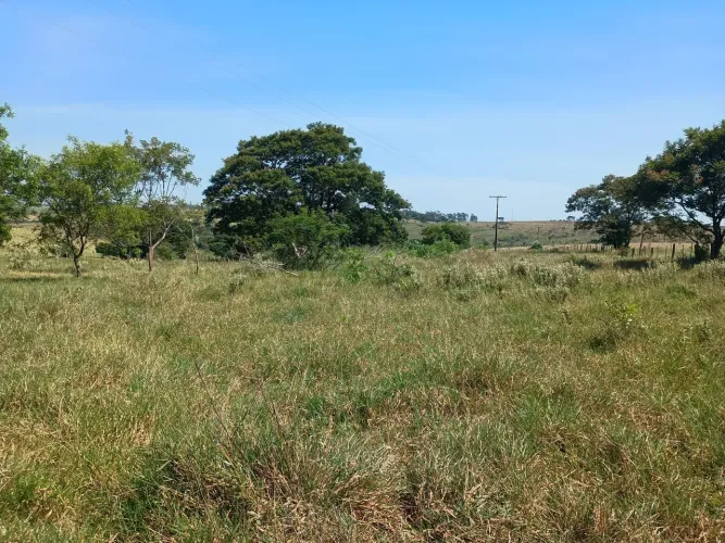 Chácara dentro da cidade Mirante do Paranapanema SP
